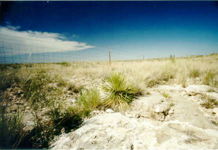 desert3