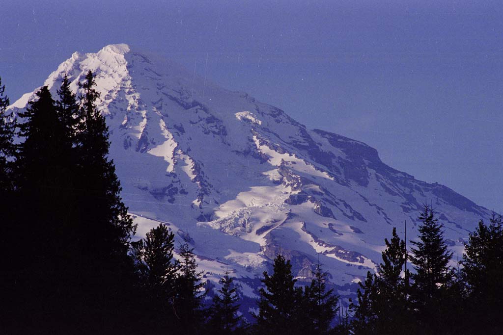 rainier15