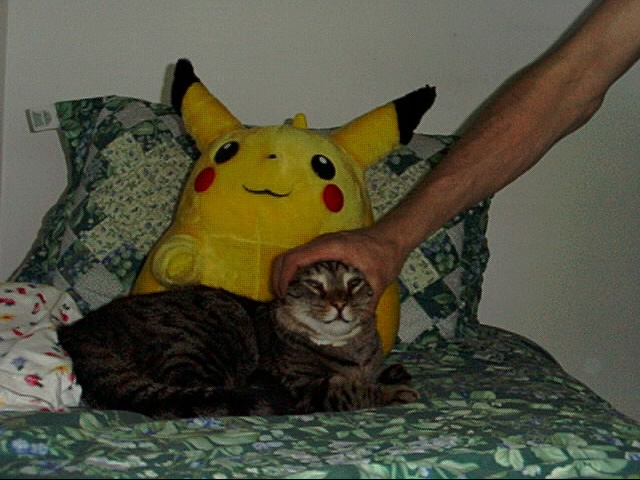 freakachu 2