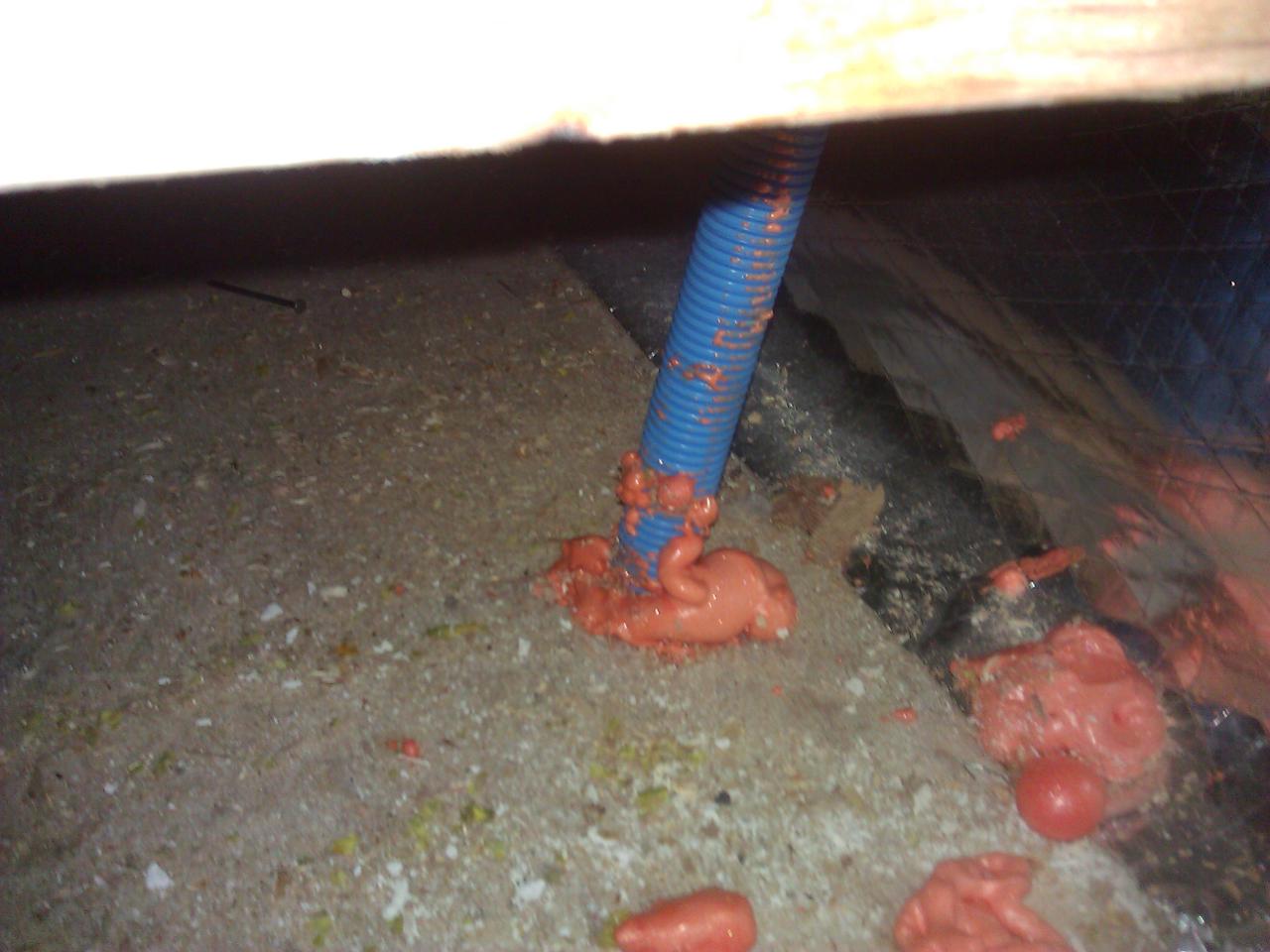 Filling the gap around the conduit with intumescent foam. Spilled a bunch.