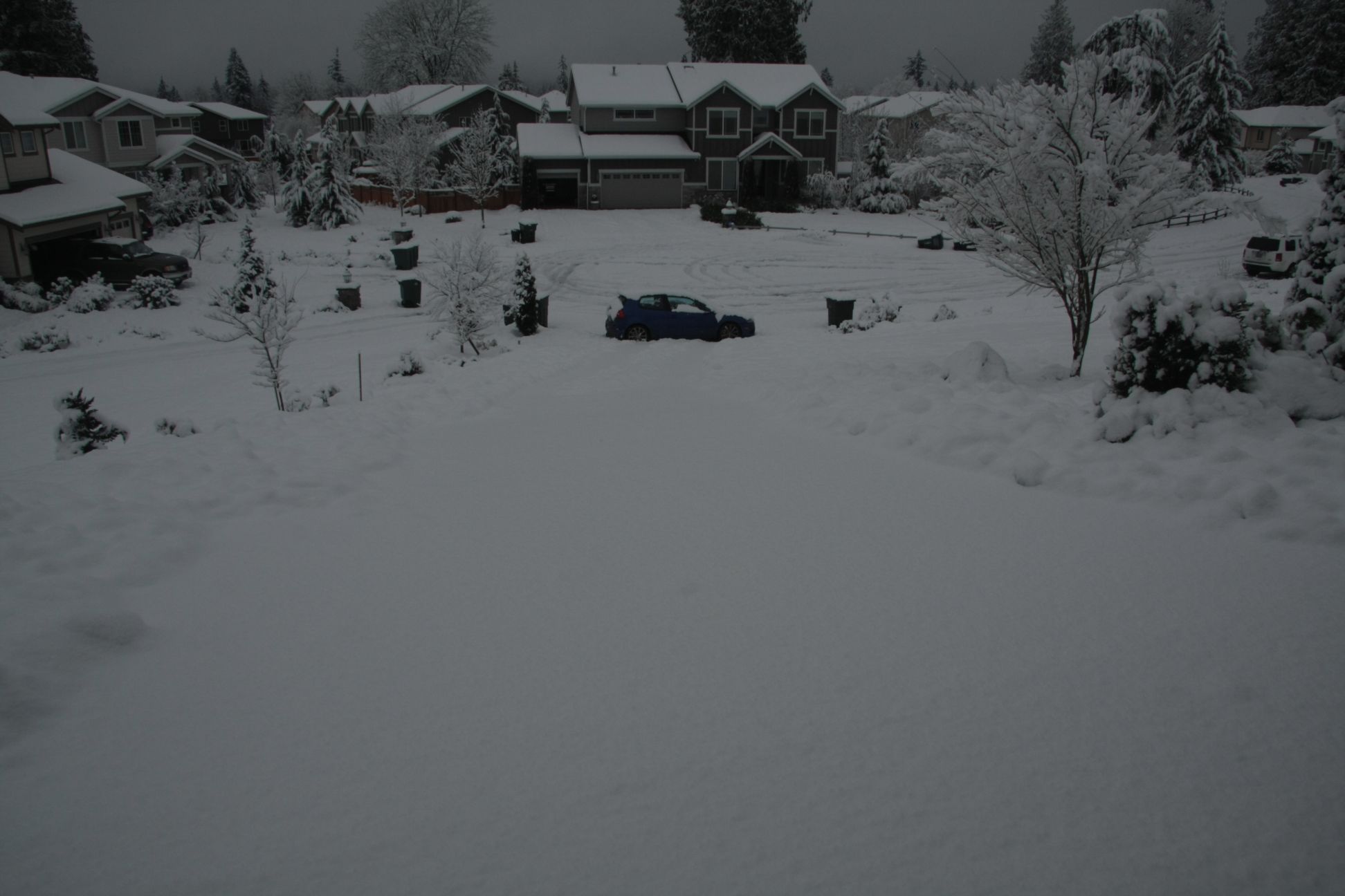 IMG 6557